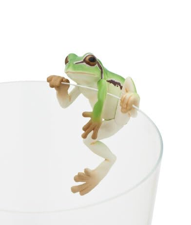 Amazon | 全8種セット コップにしがみつくアマガエル JAPANESE TREE